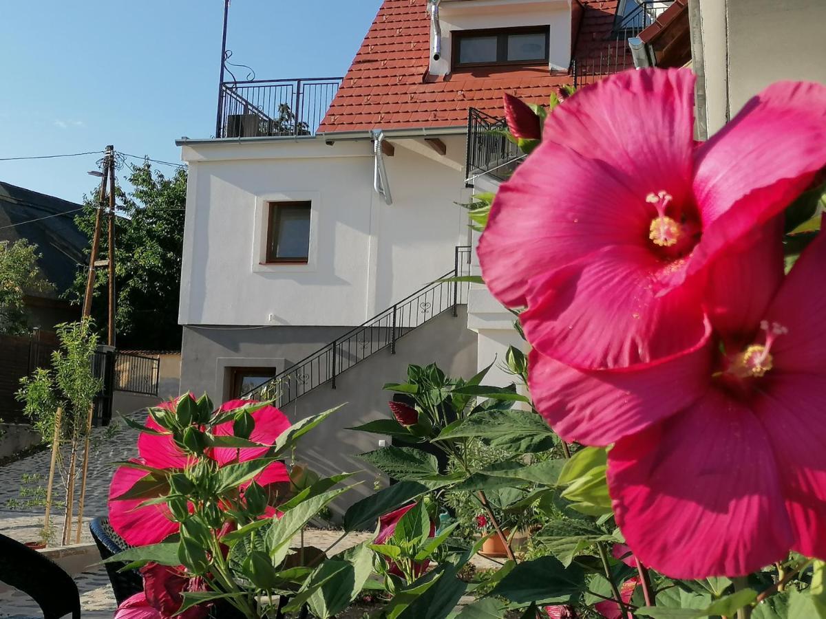 Szigligeti Mandula Kert Vendeghaz Apartment ภายนอก รูปภาพ